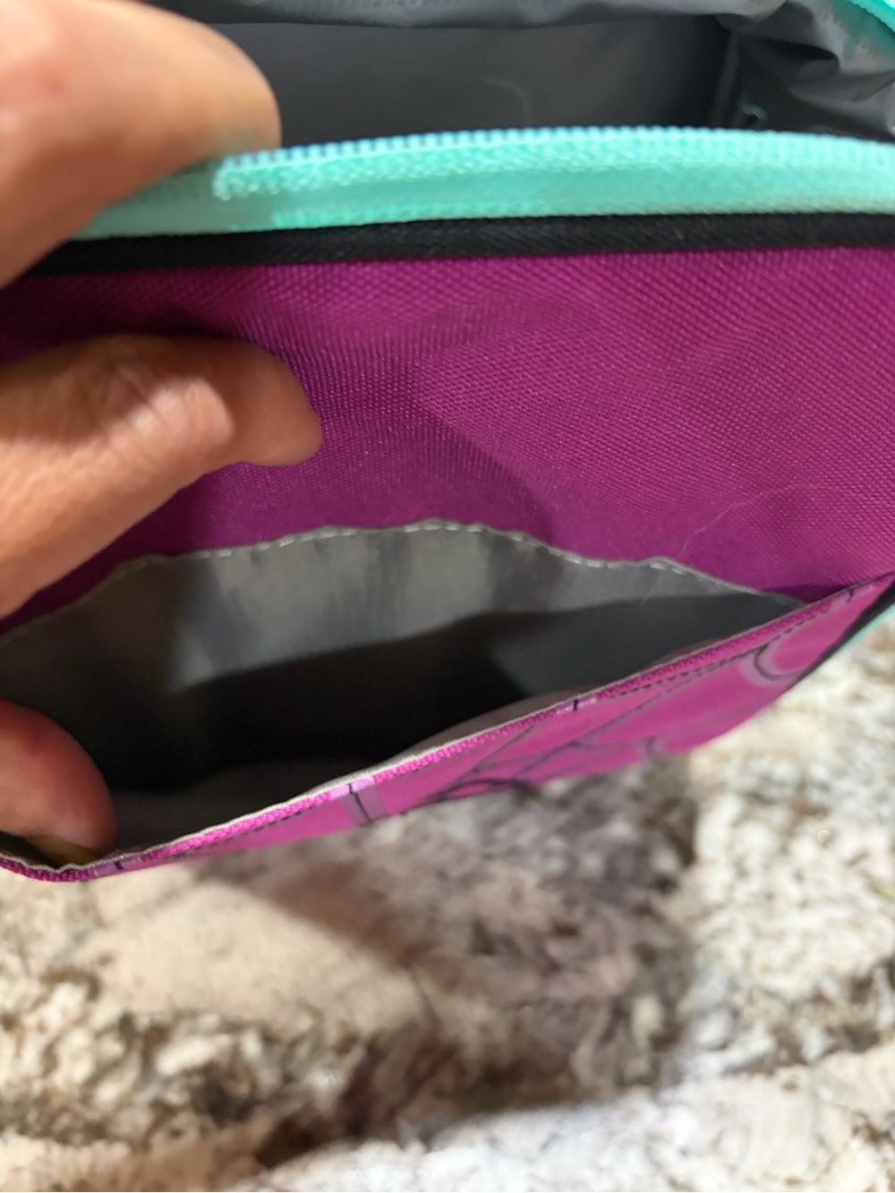 Pottery Barn Kids Pink Spider Web Lunchbox with Teal Trim - Picture 3 of 11